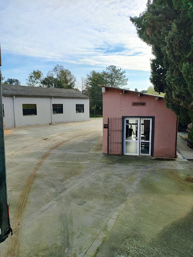 Photo from customer review